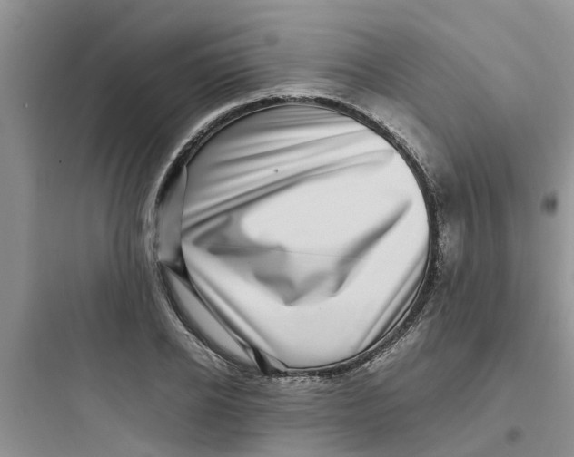 X0000097640934200803211829