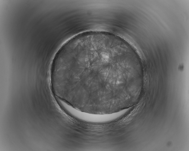 X0000097640935200803211829