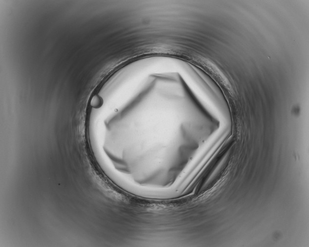 X0000097640938200803211829