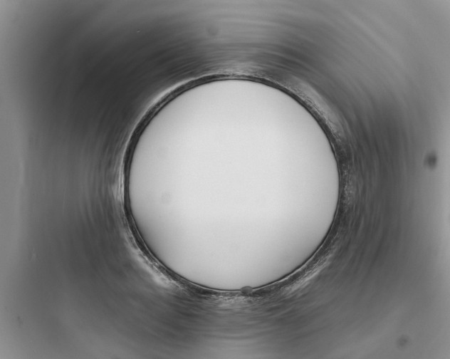 X0000097640940200803211829