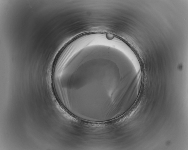 X0000097640941200803211829