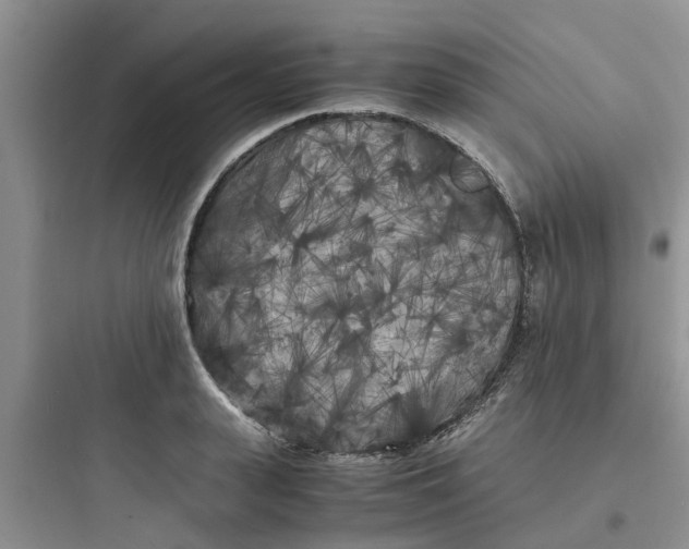 X0000097640943200803211829