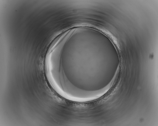 X0000097640945200803211829