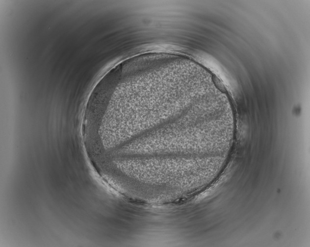 X0000097640946200803211829