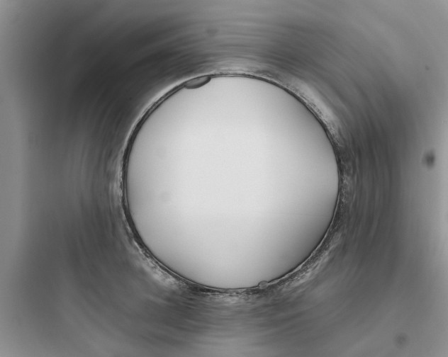 X0000097640948200803211829