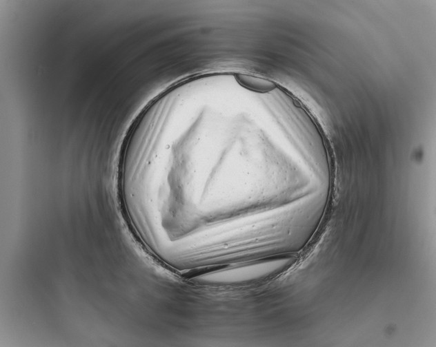 X0000097640949200803211829