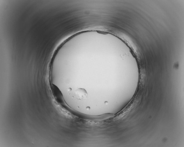 X0000097640952200803211829