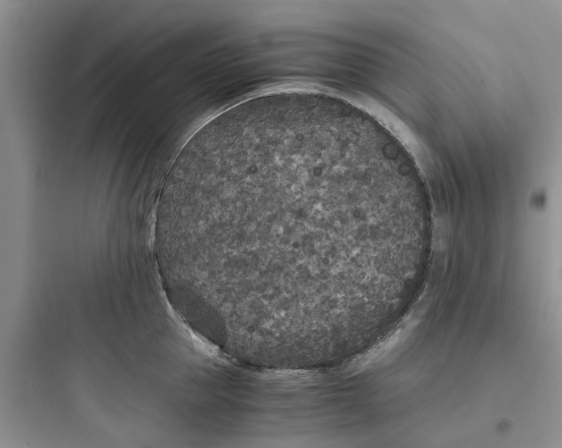 X0000097640953200803211829