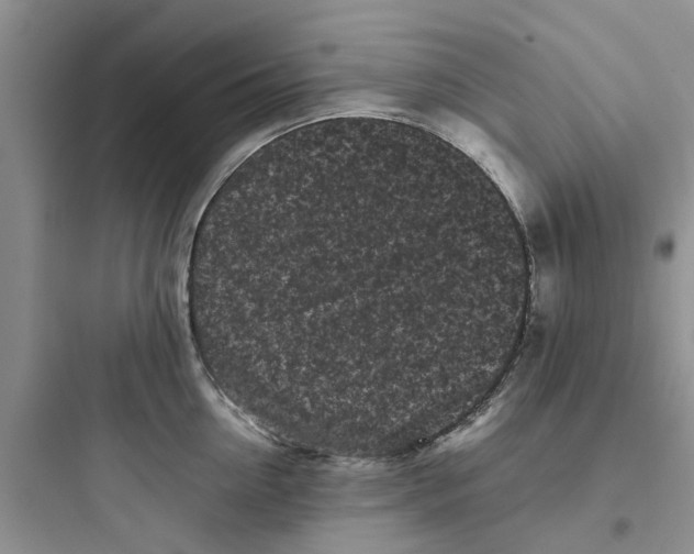 X0000097640954200803211829