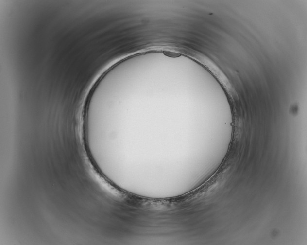 X0000097640955200803211829