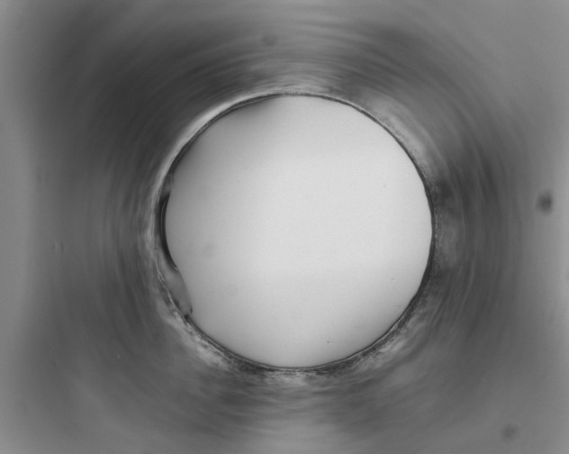 X0000097640956200803211829