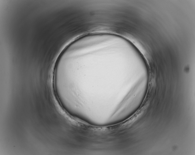 X0000097640957200803211829