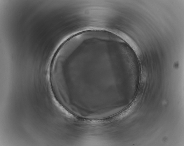 X0000097640958200803211829