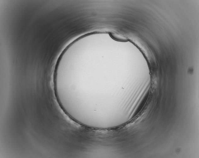 X0000097640959200803211829