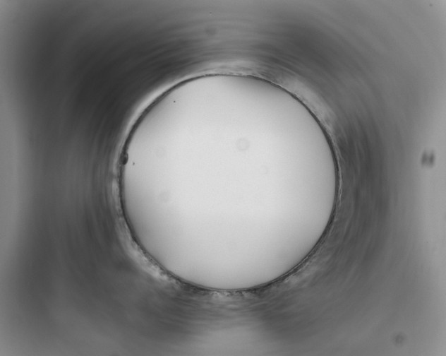 X0000097640960200803211829