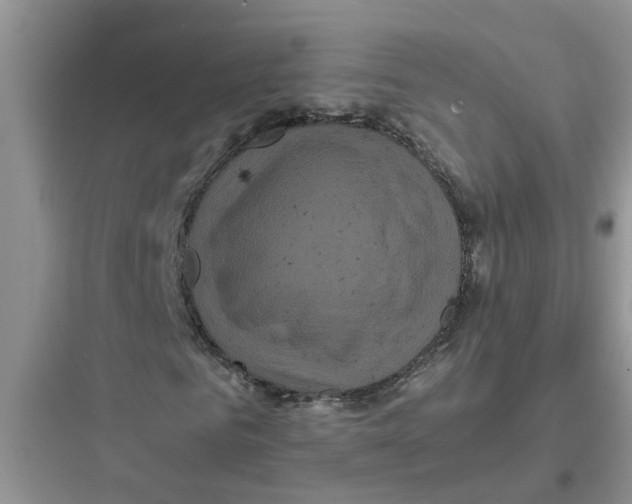 X0000097640961200803211829