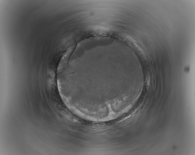 X0000097640964200803211829