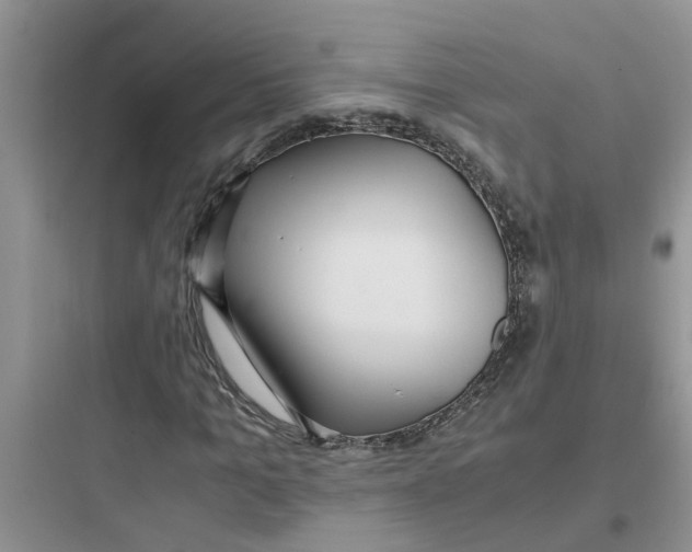 X0000097640965200803211829