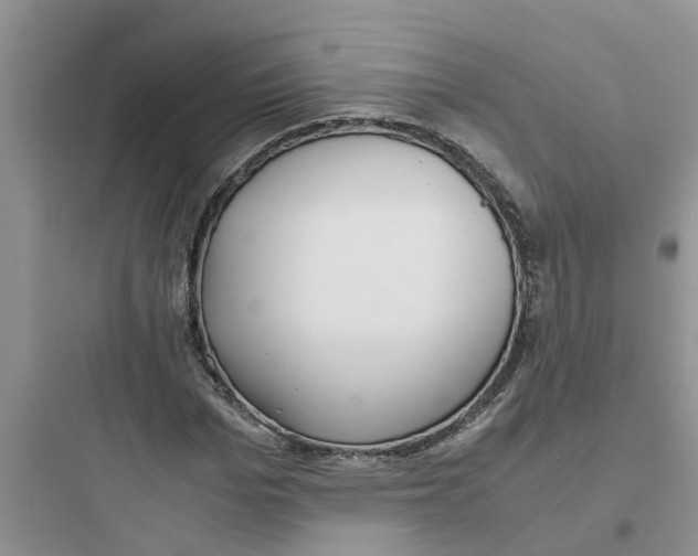 X0000097640969200803211829