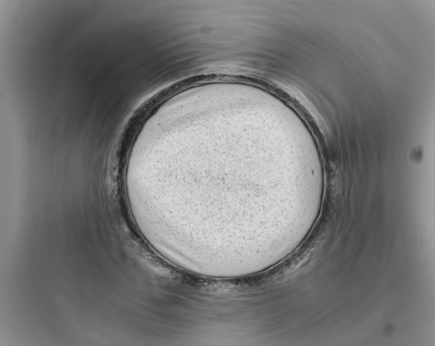 X0000097640971200803211829