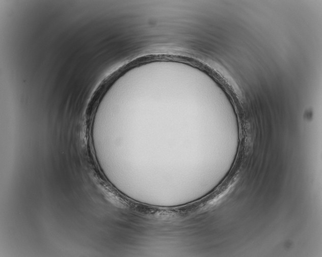 X0000097640974200803211829