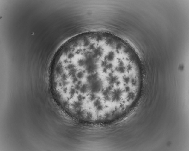 X0000097640975200803211829