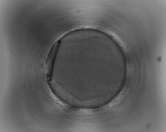 X0000097640977200803211829