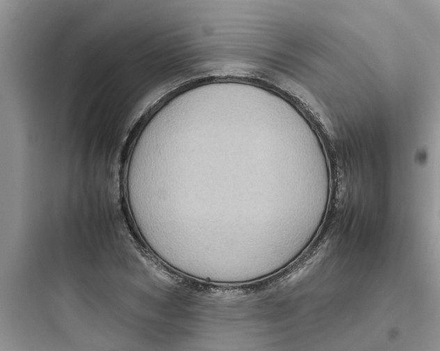 X0000097640978200803211829