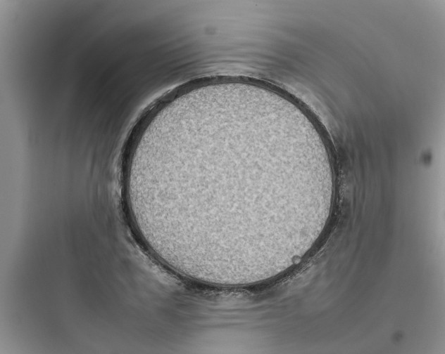 X0000097640979200803211829