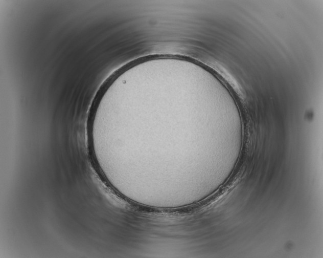 X0000097640980200803211829