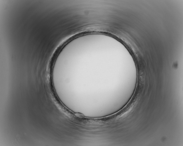 X0000097640981200803211829