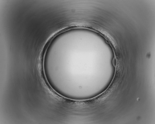 X0000097640983200803211829