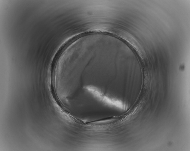 X0000097640984200803211829