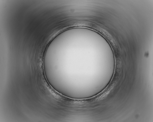 X0000097640985200803211829