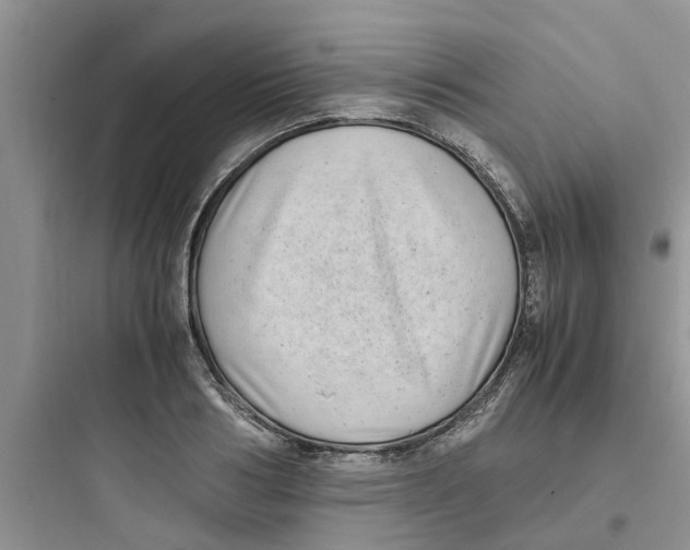 X0000097640986200803211828