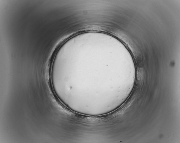 X0000097640987200803211828