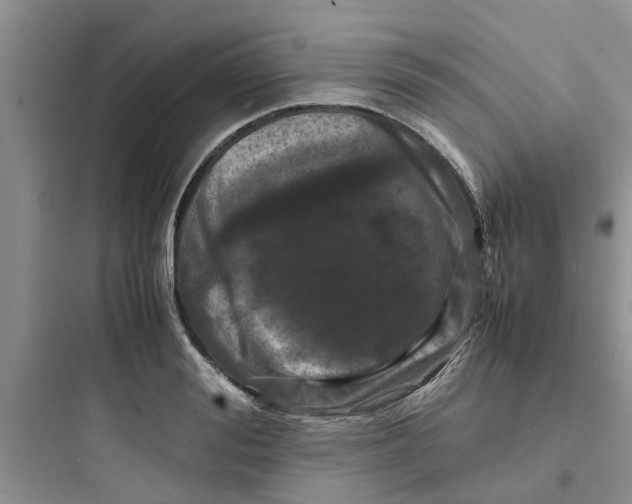 X0000097640988200803211828