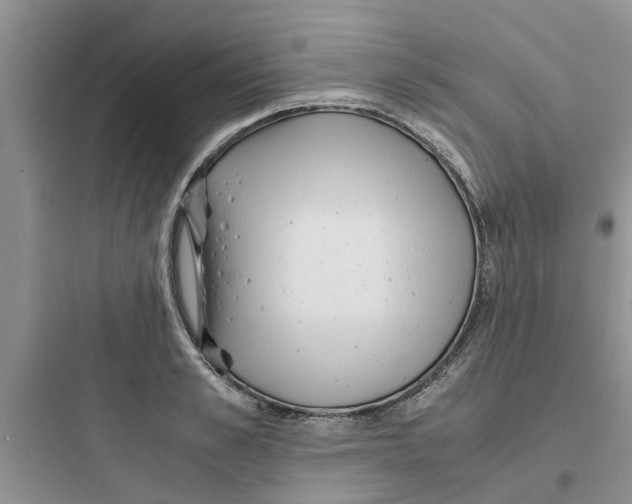 X0000097640989200803211828