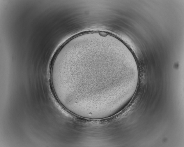 X0000097640990200803211828