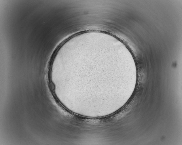 X0000097640991200803211828