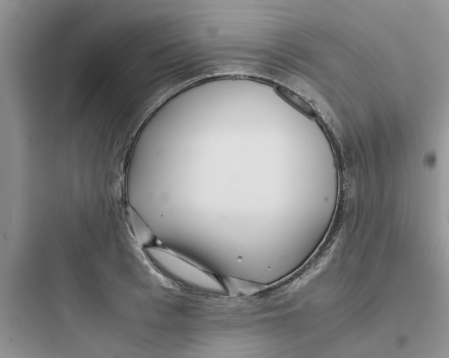 X0000097640993200803211828