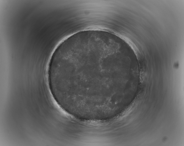 X0000097640995200803211828