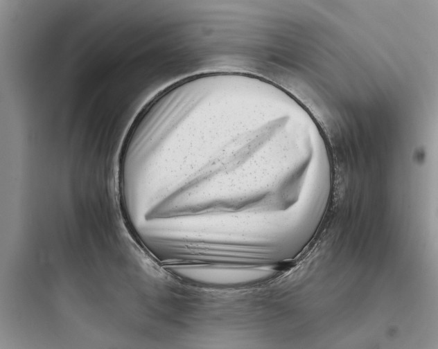 X0000097640996200803211828