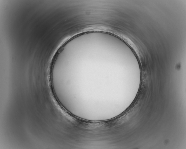 X0000097640997200803211828