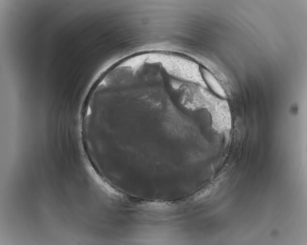 X0000097640998200803211828