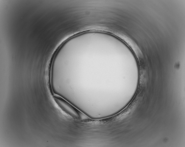 X0000097640999200803211828