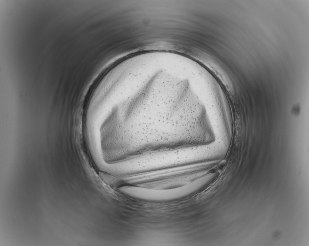 X0000097641000200803211828