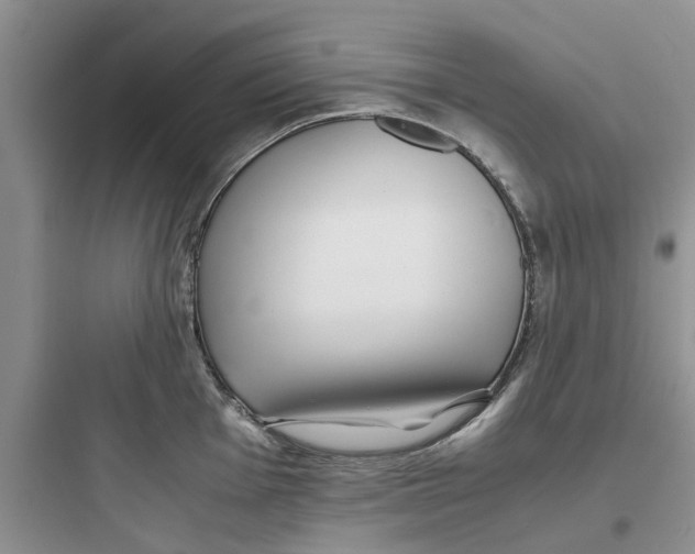 X0000097641001200803211828