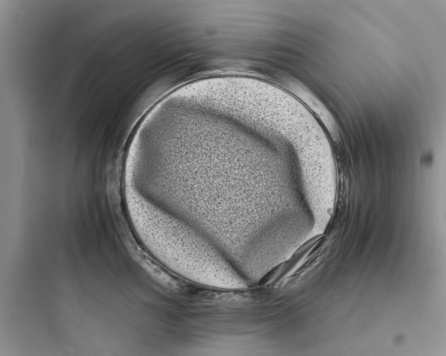 X0000097641002200803211828