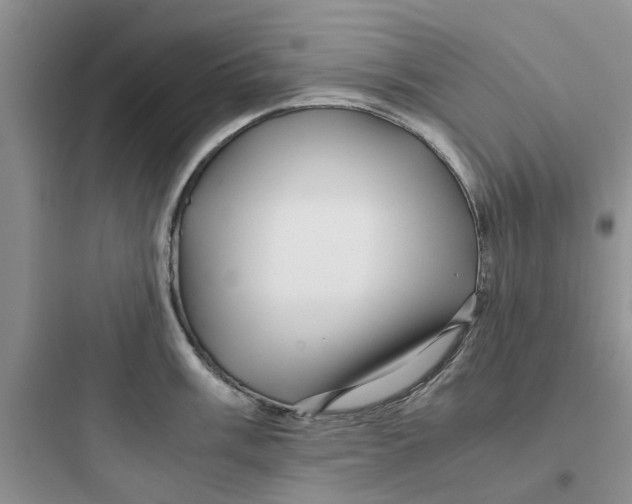 X0000097641003200803211828